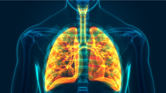 Respiratory Medicine
