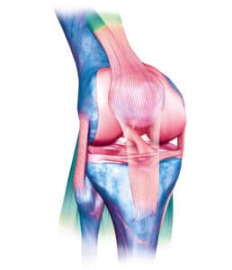 INJURIES AROUND KNEE JOINT – MENISCUS & LIGAMENT INJURIES